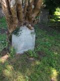 image of grave number 262430